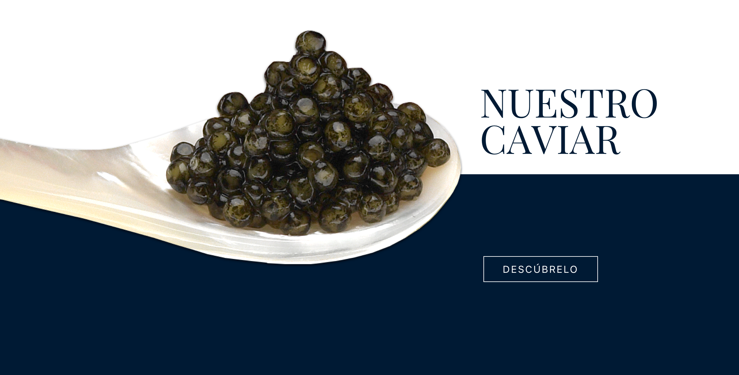 florero alabanza Miserable Comprar caviar online - Caviar Gourmet | Caviar Tanit